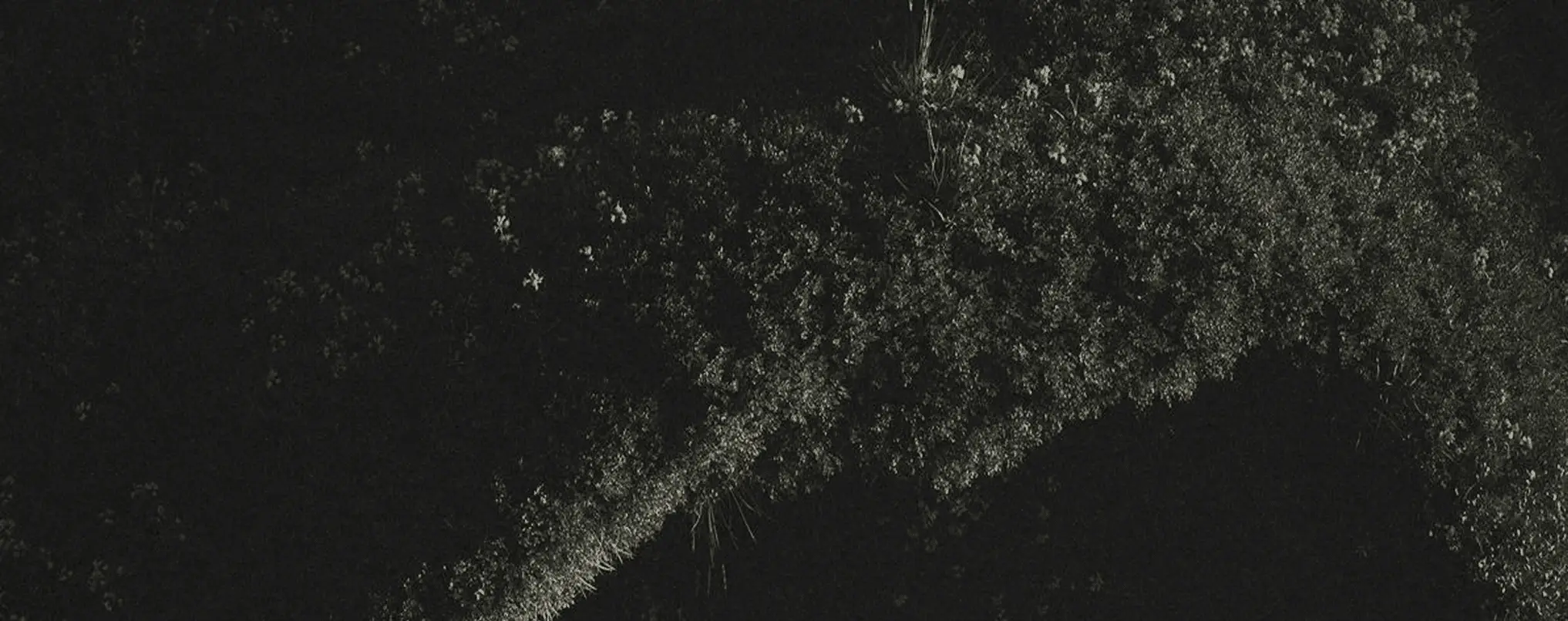 Softstorm KI-Agentur – KI-Agenten und Automatisierung für Unternehmen in Bayern